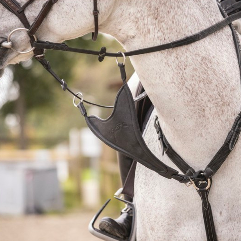 Pénélope Store - Fourche de martingale Bip Plain élastique noisette | - Ohlala