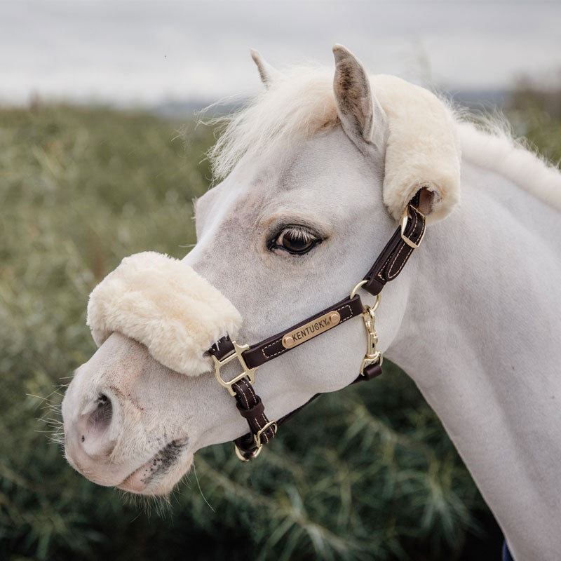 Kentucky Horsewear - Licol en cuir mouton pour Minis | - Ohlala