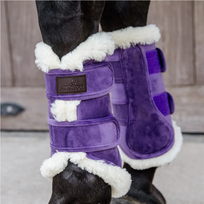 Kentucky Horsewear - Guetre cuir velvet contrast royal purple | - Ohlala