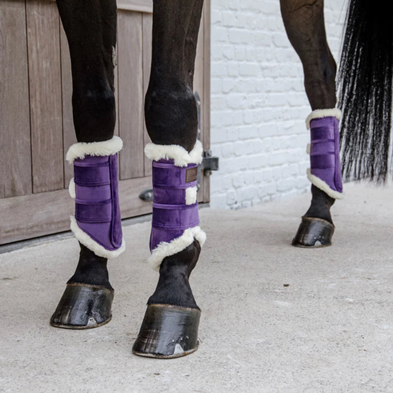 Kentucky Horsewear - Guetre cuir velvet contrast royal purple | - Ohlala