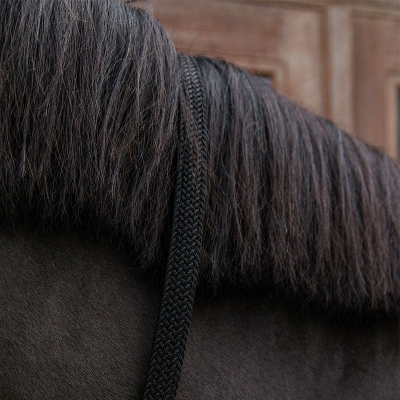 Kentucky Horsewear - Longe en nylon tressé noir 2 m | - Ohlala