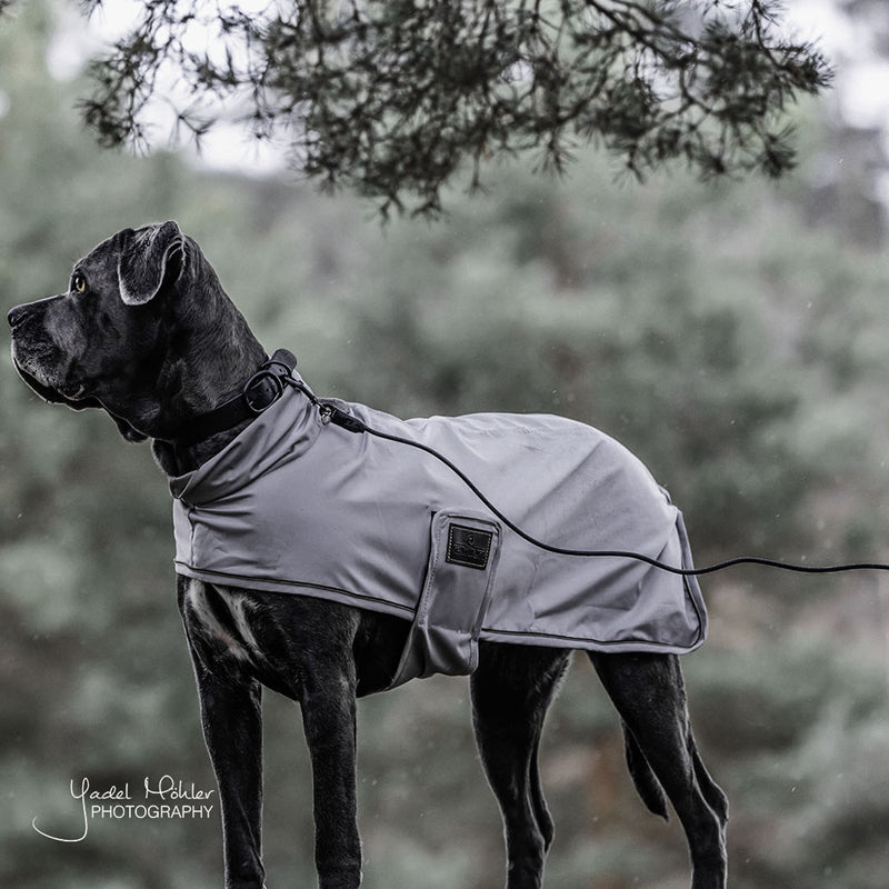 Kentucky Dogwear - Laisse d'entrainement en caoutchouc souple noir 3m | - Ohlala