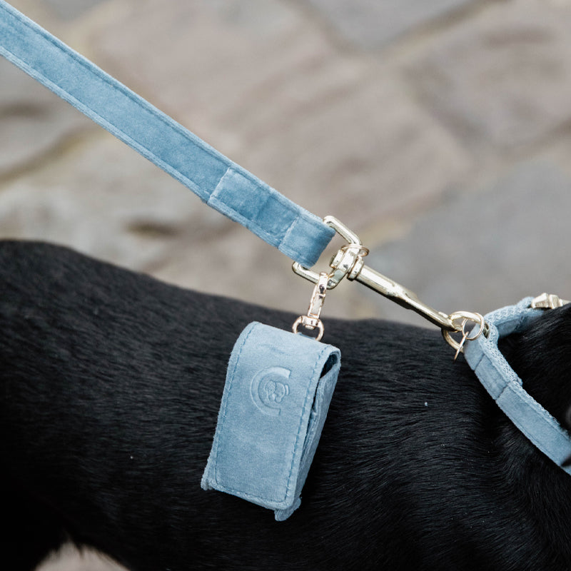 Kentucky Dogwear - Laisse pour chien Velvet 2m bleu ciel | - Ohlala