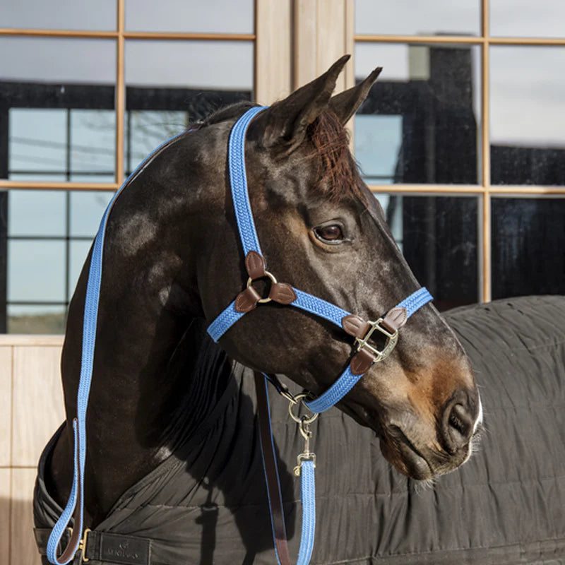 Kentucky Horsewear - Licol nylon tressé bleu clair | - Ohlala