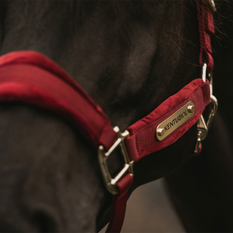 Kentucky Horsewear - Licol velvet bordeaux | - Ohlala