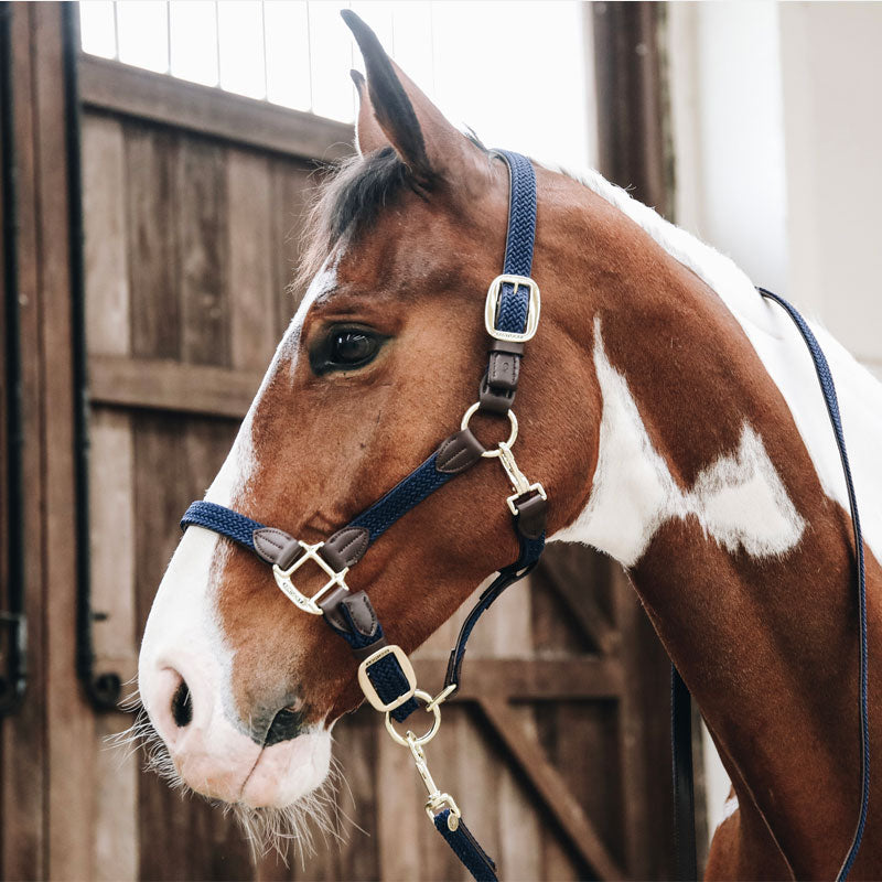 Kentucky Horsewear - Licol nylon tressé marine | - Ohlala