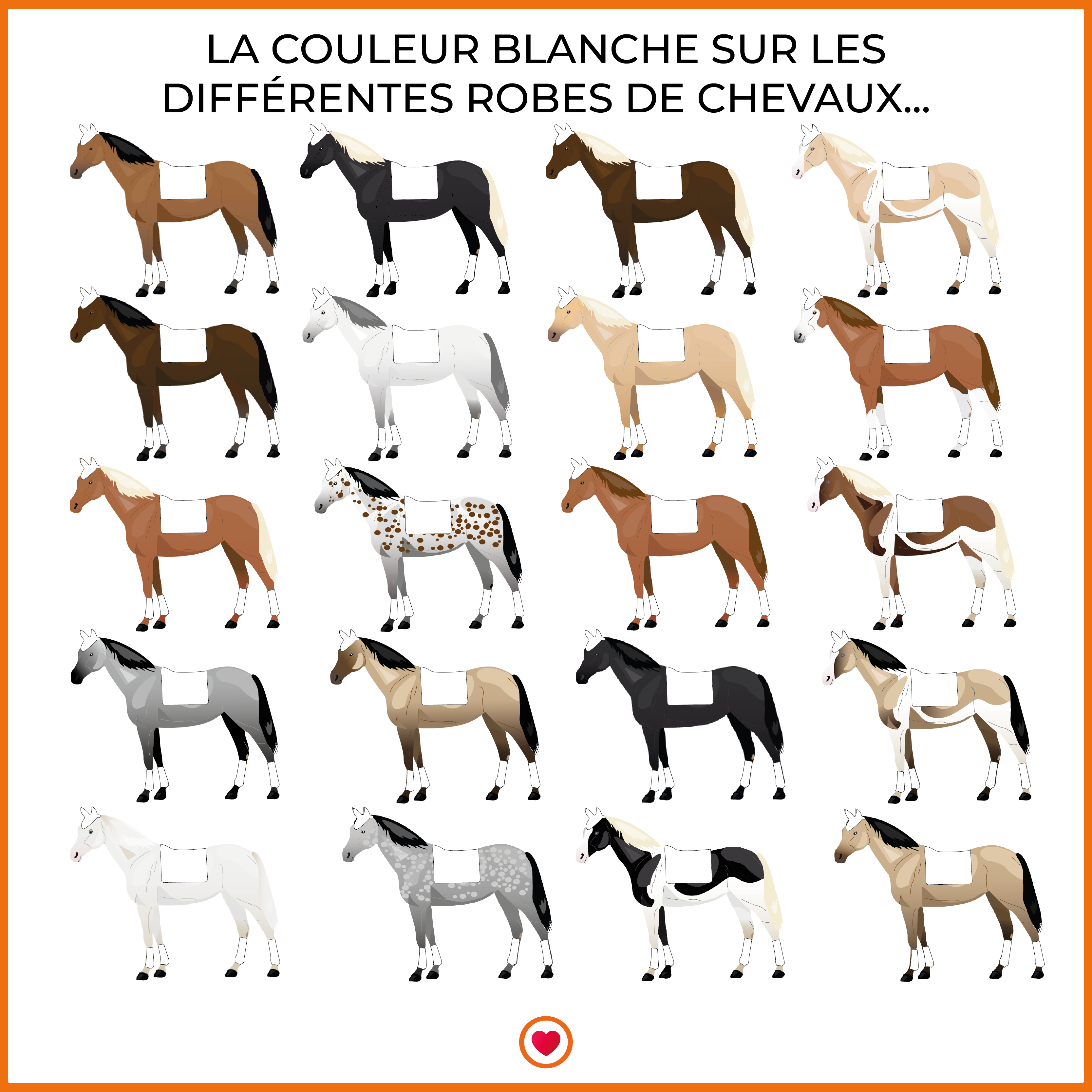 TdeT - Tapis anti-glisse épais | - Ohlala