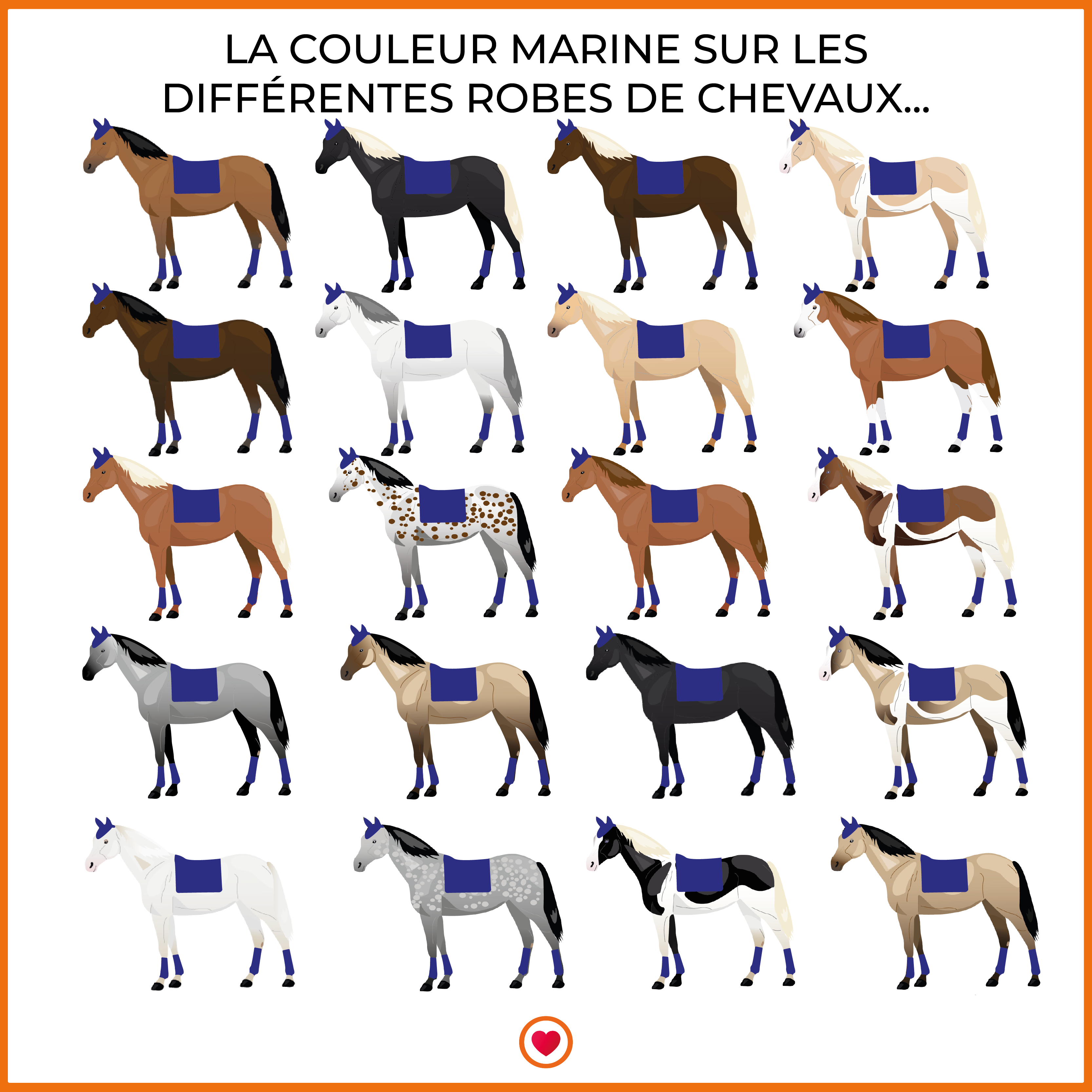 Riding World - Tapis de selle Girly marine | - Ohlala