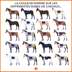 Privilège Equitation - Tapis de selle Del Mar marine/taupe | - Ohlala