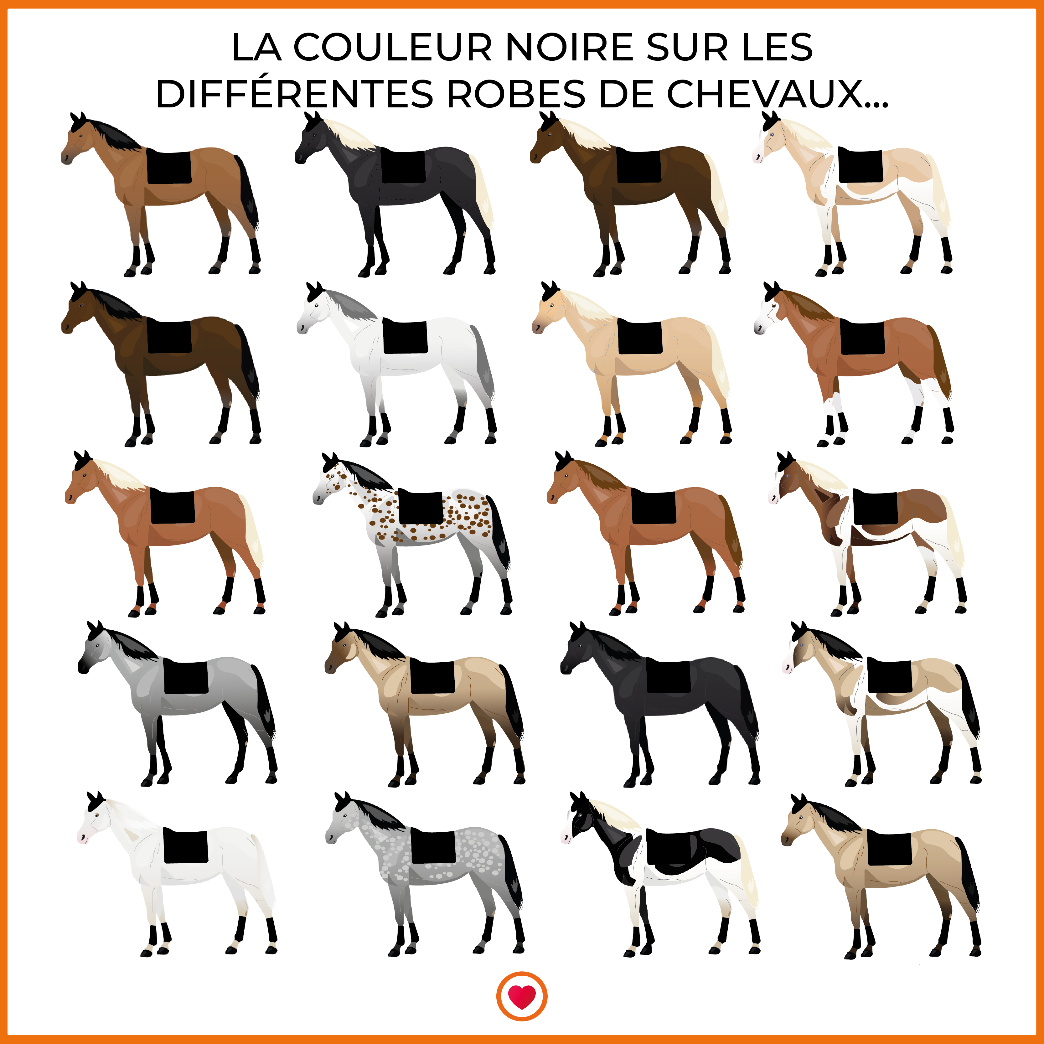Back On Track - Tapis de dressage noir | - Ohlala