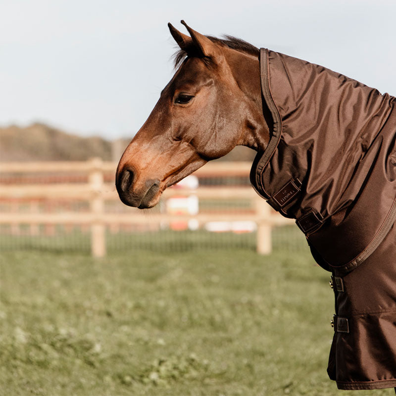 Kentucky Horsewear - Couvre-cou all weather imperméable pro 150 g marron | - Ohlala